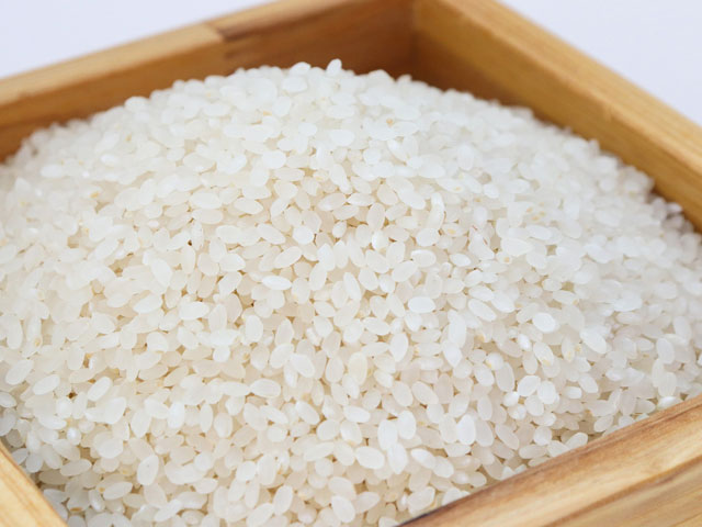 米の写真